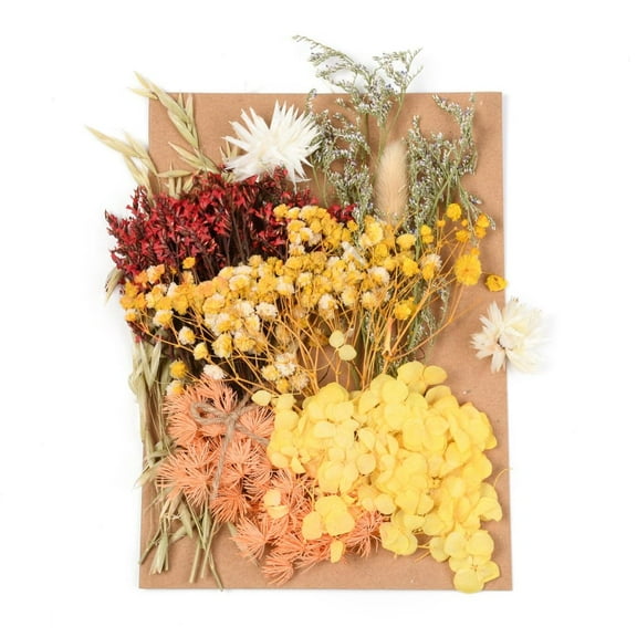 2 bag Dried Flower for Bridal Shower Wedding Preserved Fresh Flower Yellow 210x148x14~24.5mm