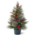 thumbnail image 1 of National Tree Company 2 ft. Colonial Potted Tree with Battery Operated Warm White LED Lights, 1 of 3