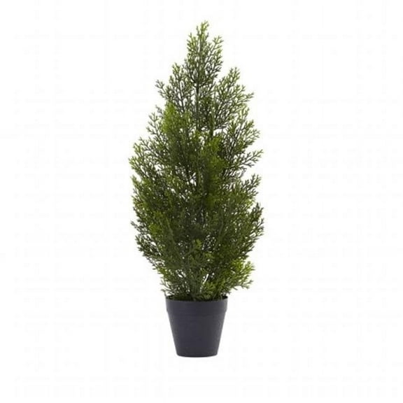 2 ft. Mini Cedar Pine Tree - Indoor & Outdoor