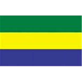 2 ft. X 3 ft. Nyl-Glo Gabon Flag