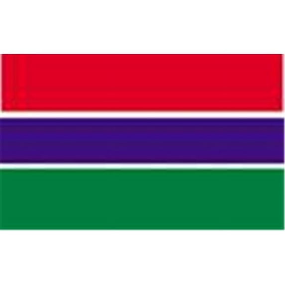 2 ft. X 3 ft. Nyl-Glo Gambia Flag