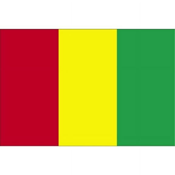 2 ft. X 3 ft. Nyl-Glo Guinea Flag