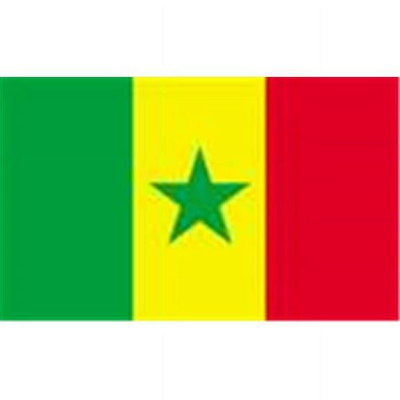 2 ft. X 3 ft. Nyl-Glo Senegal Flag