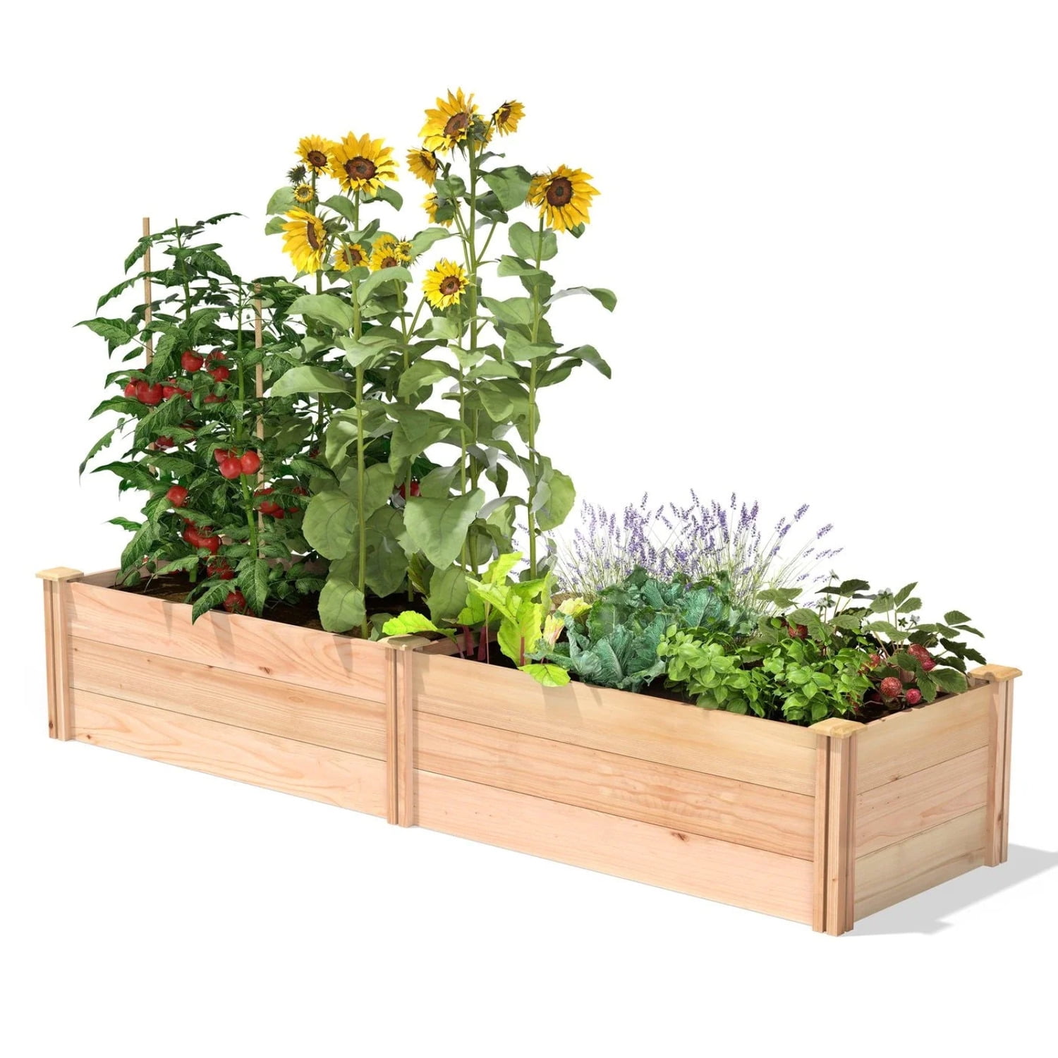 2 ft x 8 ft Tall Cedar Wood Raised Garden Bed Made in USA