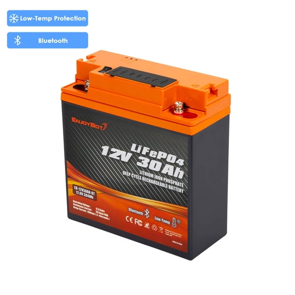 2-in-1 12V 30Ah LiFePO4 Lithium Battery, Built-in 30A BMS, Low-Temp Protection & Bluetooth, Portable Charger with USB C & DC & Type-C, for Fish Finder, RV & Camping, Trolling Motor