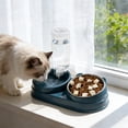 thumbnail image 1 of 2-in-1 Cat Bowl, 15 Inclined Drinking Water Rice Bowl for Dogs and Cats, 1 of 5