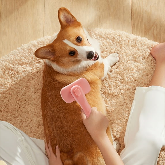 2-in-1 Dog Hair Dryer with Slicker Brush for Small-Sized Dogs and Cats, Pet Hair Dryer, Dog Blow Dryer, Adjustable Temperature, Overheat Protection