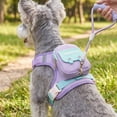 thumbnail image 1 of 2‑in‑1 Dog Harness Backpack With Leash, Reflective Adjustable Anti‑Pull Vest With Storage Pouch, Breathable Outdoor Walking Gear For Small Dogs, 1 of 7