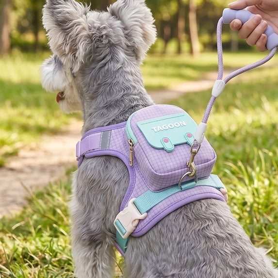 2‑in‑1 Dog Harness Backpack With Leash, Reflective Adjustable Anti‑Pull Vest With Storage Pouch, Breathable Outdoor Walking Gear For Small Dogs