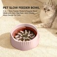2-in-1 Dual Mode Large Plastic Cat Slow Feeder Bowl, Switchable Fast ...