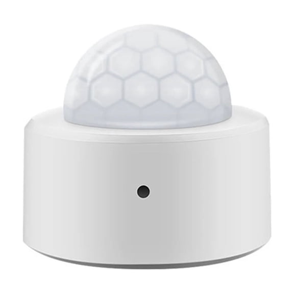 2 in 1 Mini PIR Motion Detector +Bright Lux Light Passive Infrared Security Burglar Alarm Sensor
