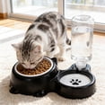 thumbnail image 1 of 2-in-1 Pet Bowl Dual Compartment for Food and Water, Tilted Elevated Dish with Non-Slip Weighted Base for Cats and Dogs, Easy Clean Removable Bowls, 1 of 5