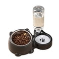thumbnail image 1 of 2-in-1 Pet Food and Water Bowl, Plastic Dual Portions Feeding Station for Small Dogs and Indoor Cats, Dark Gray, 1 of 6