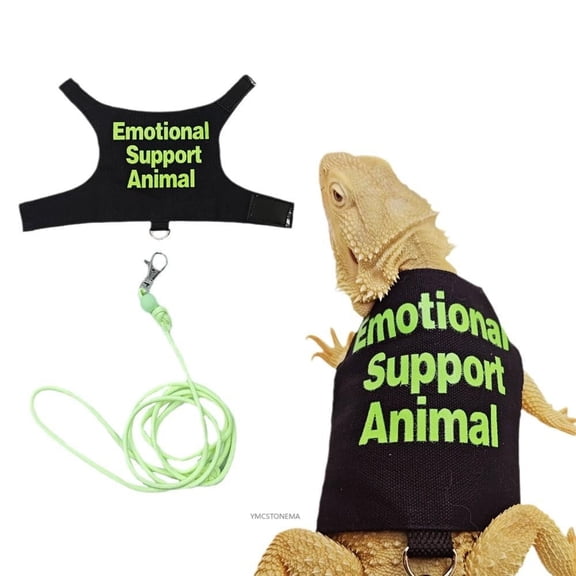 2-in-1 Reptile Harness & Shirt, Colorful Lizard Leash Vest for Walking, Adjustable Small Pet Clothing for Chameleon Squirrel, Indoor Apparel & Outdoor Adventure (5.7ft Lead) printing