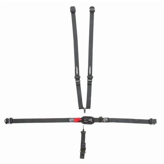 2 in. 5 point Harness L-L & P-D Ind Shld Fixed Right Lap