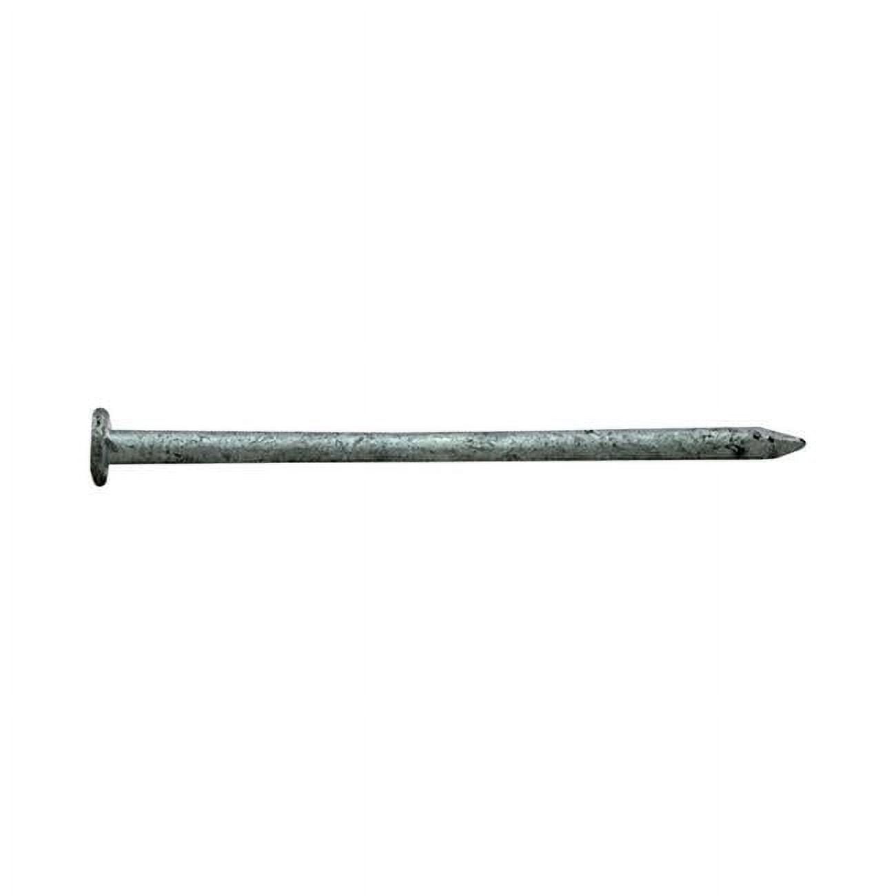 2 in. 6D 5 lbs HDG Common Nail