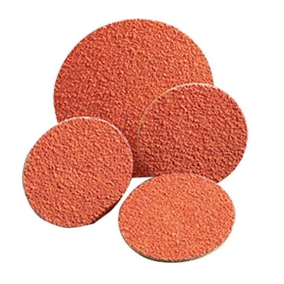 2 in. 80 Grit Speed Lok TR Disc