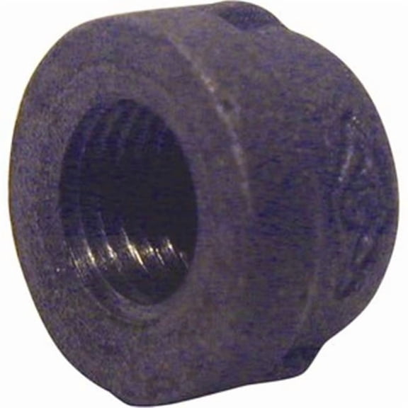 2 in. Black Pipe Cap