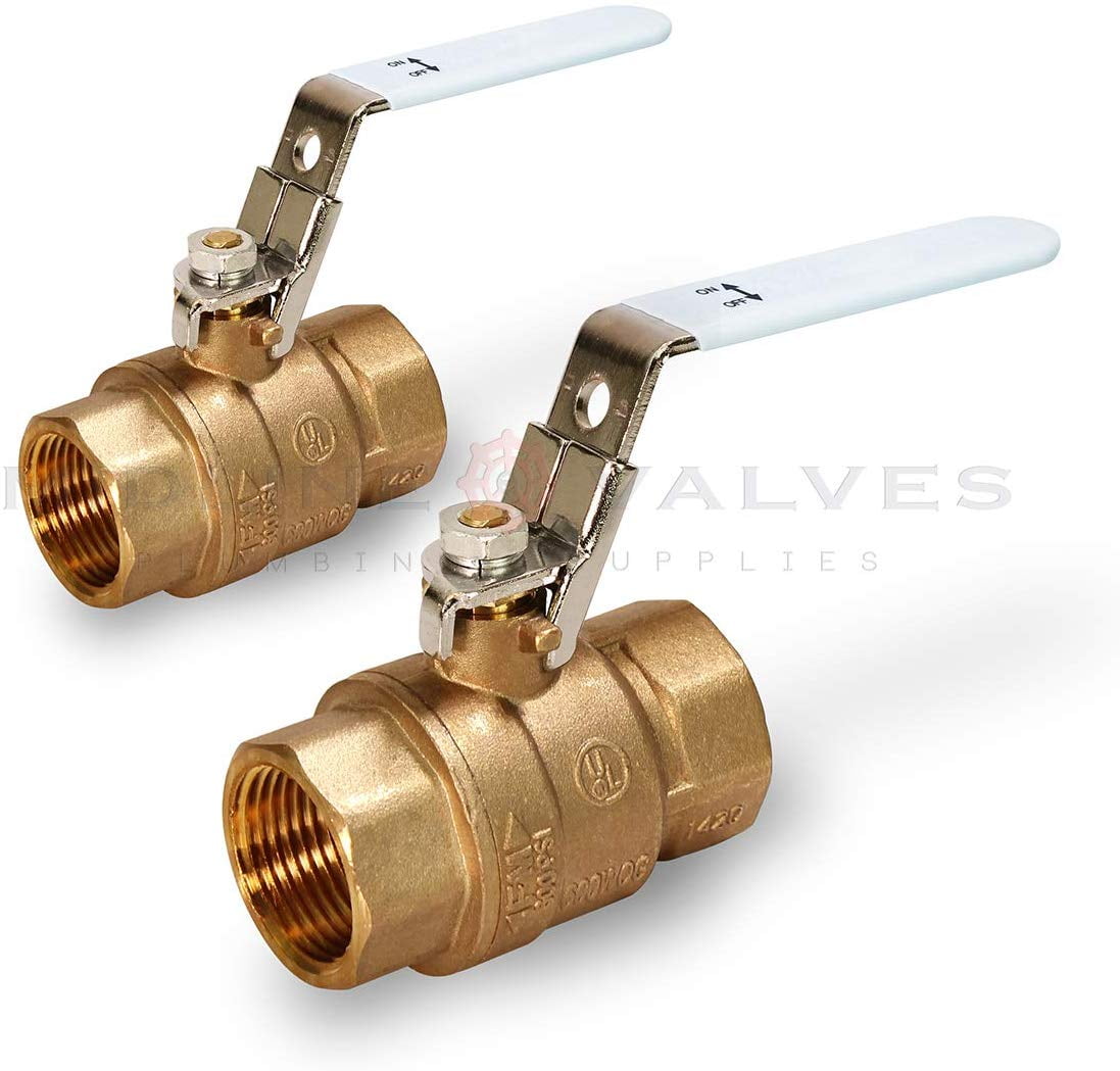 2 in. FIP x 2 in. FIP Premium Brass Full Port Ball Valve with Lock Handle (2 Pack)