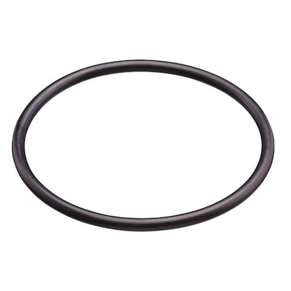 2 in. Heater O-Ring for Union