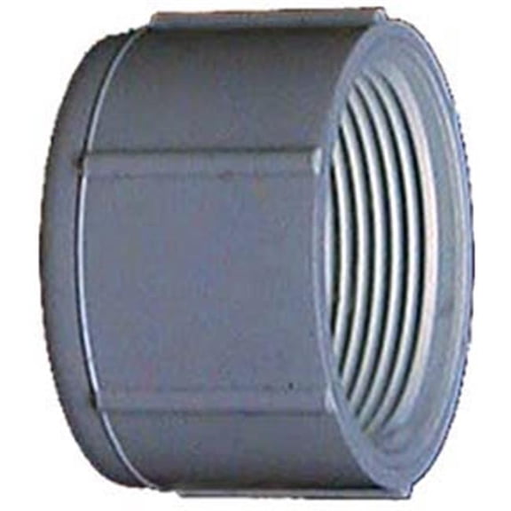 2 in. PVC Sch. 40 Threaded Caps