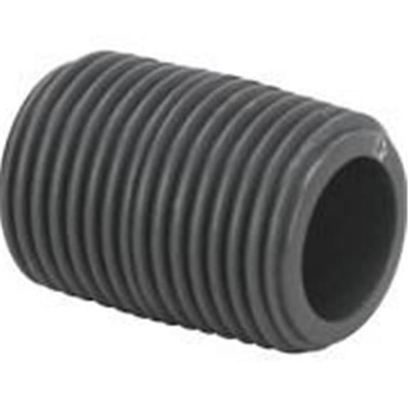 2 in. PVC Threaded Nipple