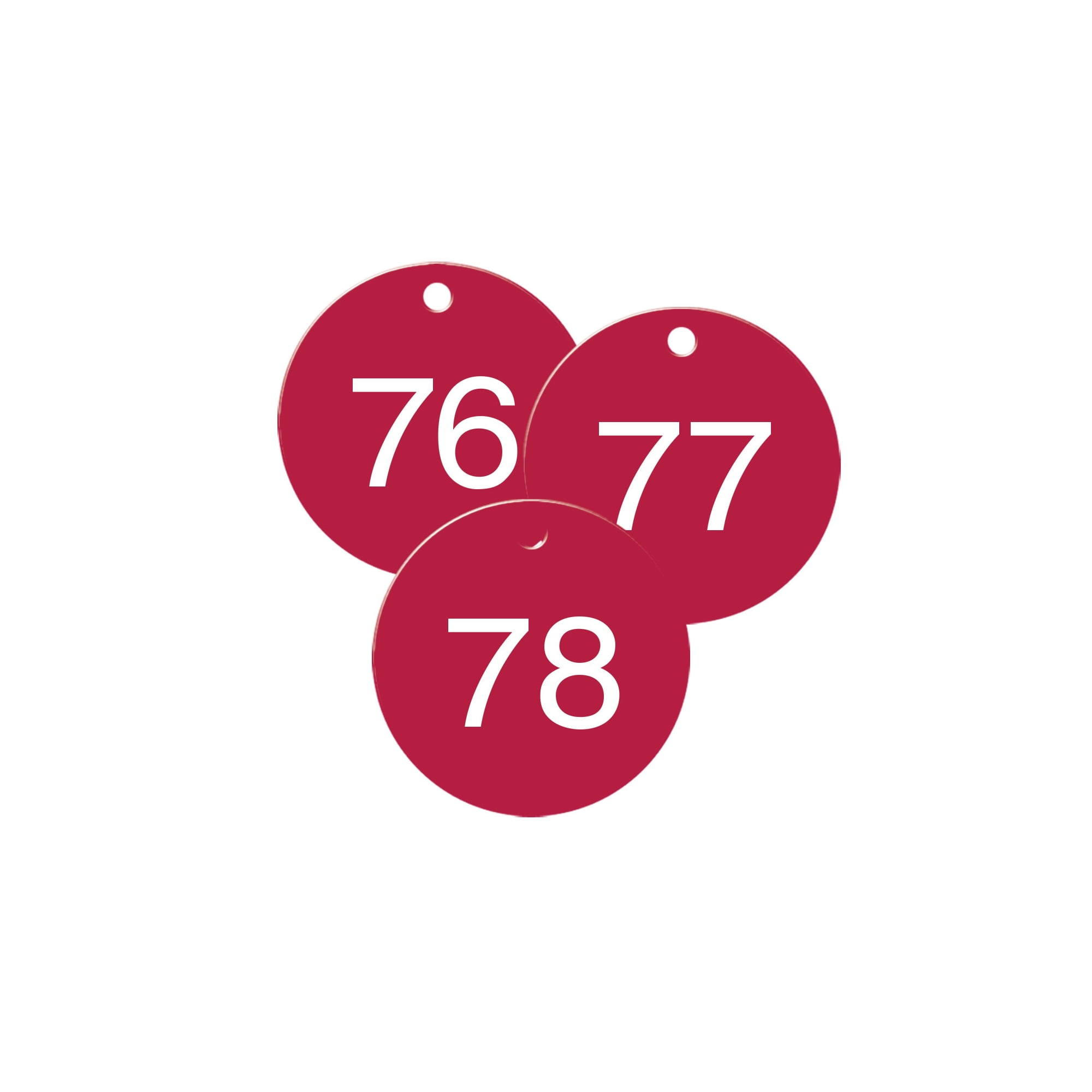 2 inch Numbered Plastic Tags