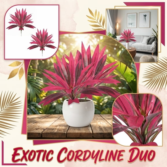 2 large purple red dragon blood tree artificial plants, simulating planting landscape tropical rainforest theme. Perfect for gardens, weddings, photography, housewarming celebrations, home gifts