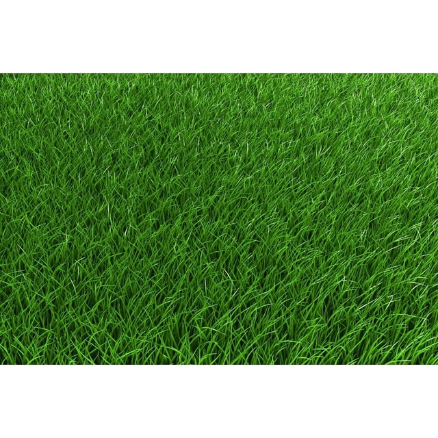 2 lb Low Grow Creeping Red Fescue Grass Seed Shade Tolerant Lawn Turf