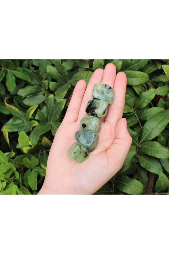 2 oz Prehnite with Epidote Tumble Stones (Crystal Healing Reiki)