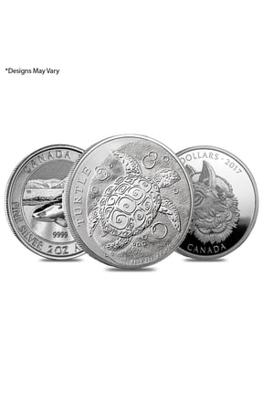 2 oz Silver Coin Random Mint .999+ Fine BU/Proof