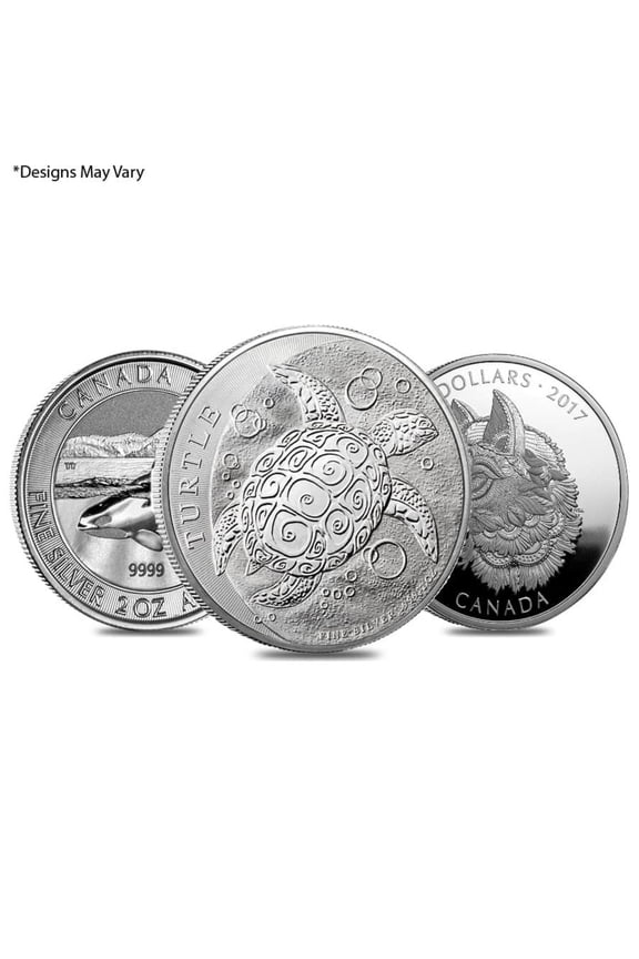 2 oz Silver Coin Random Mint .999+ Fine BU/Proof