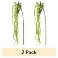 thumbnail image 1 of (2 pack) 26-inch Artificial Light Green Tassel Flower Long Stem, for Indoor Use, by Mainstays, 1 of 9