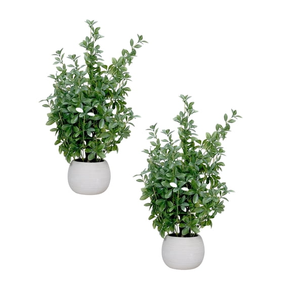 2-pack 28" Faux Olive Trees in Beige Ceramic planters