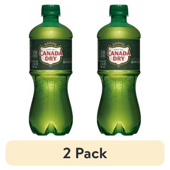 (2 pack) 2X-Canada Dry Ginger Ale Soda Bottle - 20 fl oz