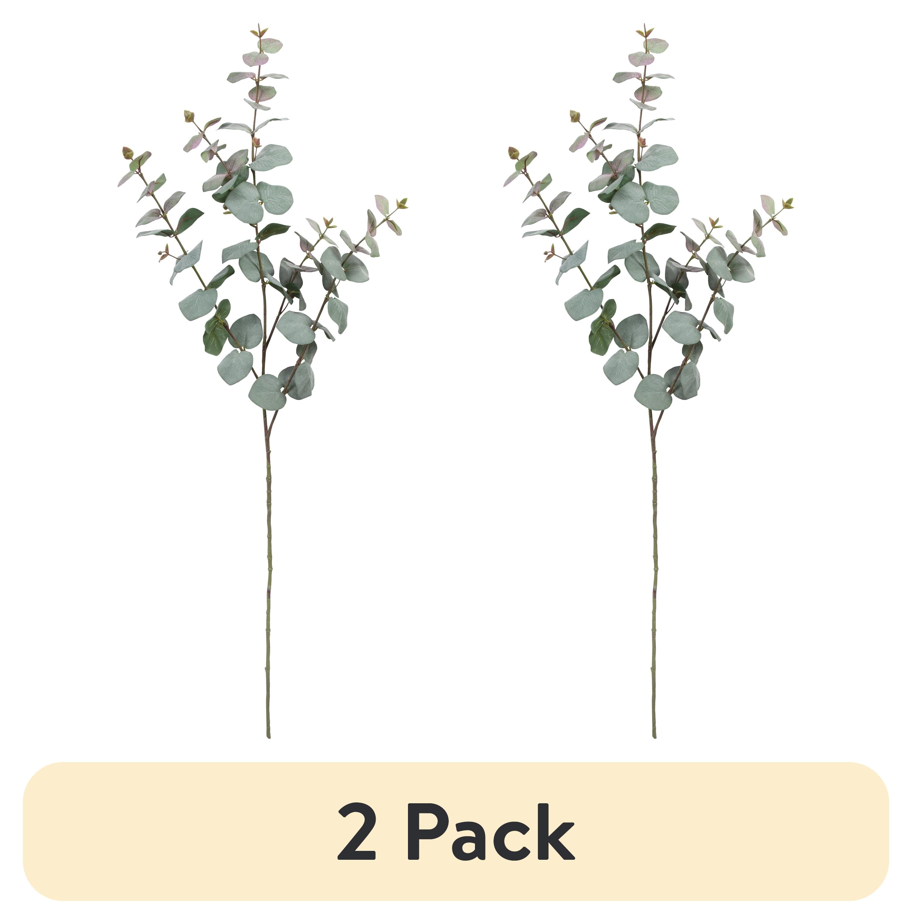 (2 pack) 41-inch Artificial Silk Grey Green Eucalyptus Long Stem, for Indoor Use, by Mainstays