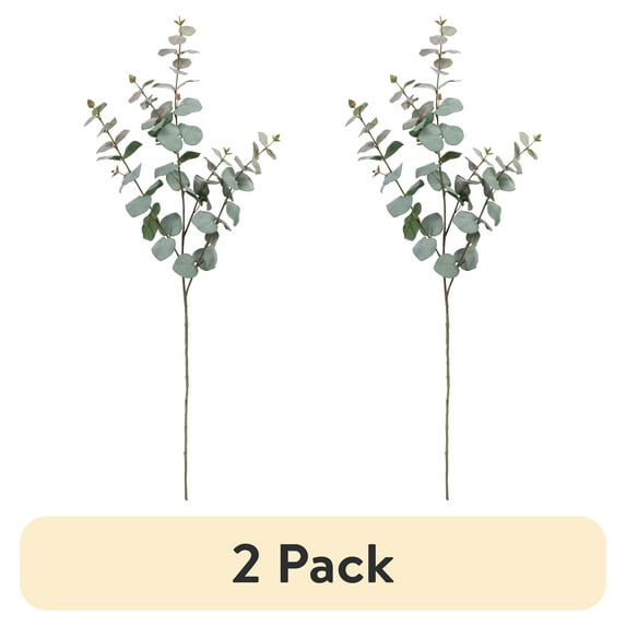 (2 pack) 41-inch Artificial Silk Grey Green Eucalyptus Long Stem, for Indoor Use, by Mainstays