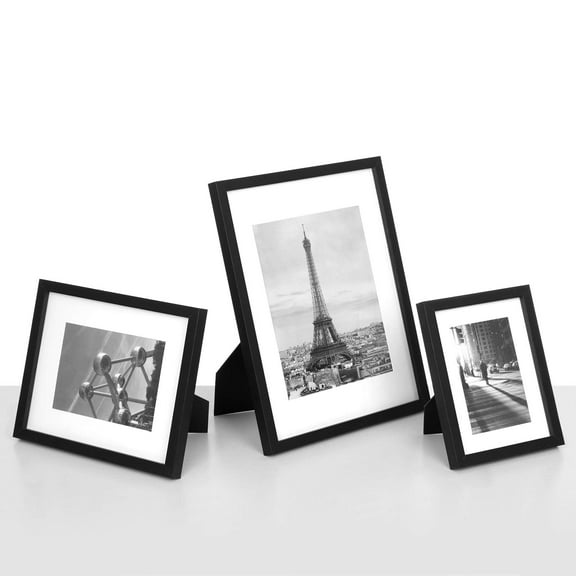 DSNEQ 2-Opening 8 x 10 Inch Photo Frame, Black Classic, 2 Count.(Without wall studs)