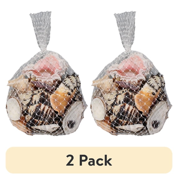(2 pack) A Mix Of Seashells In Assorted Sizes