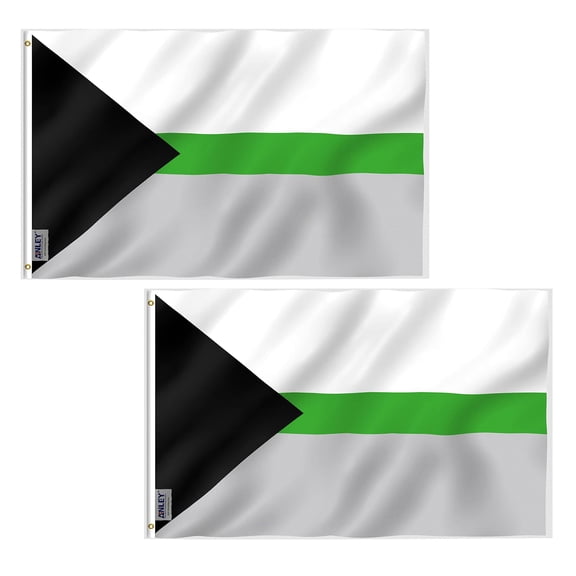 (2 pack) Anley 3 ft x 5 ft Demiromantic Pride Flag - Demiromantic LGBT Flags Polyester