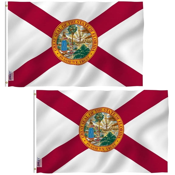 (2 pack) Anley 3x5 Foot Florida State Polyester Flag - FL State Flags