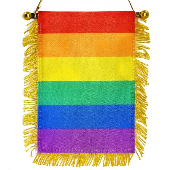 (2 pack) Anley 4 X 6 Inch Rainbow Fringy Window Hanging Flag - Rainbow LGBT Gay Pride Hanging Flag