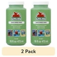 thumbnail image 1 of (2 pack) Apple Barrel Acrylic Craft Paint, Matte Finish, Spring Green, 16 fl oz, 1 of 12