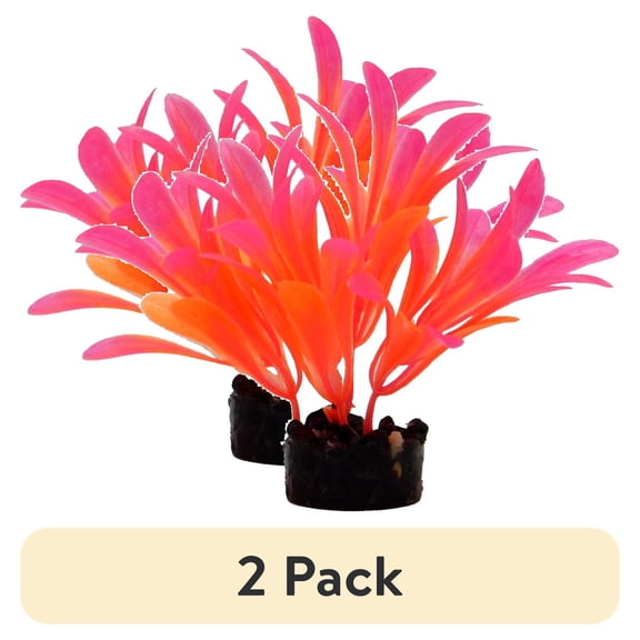 (2 pack) Aqua Culture Bright Plant Assortment