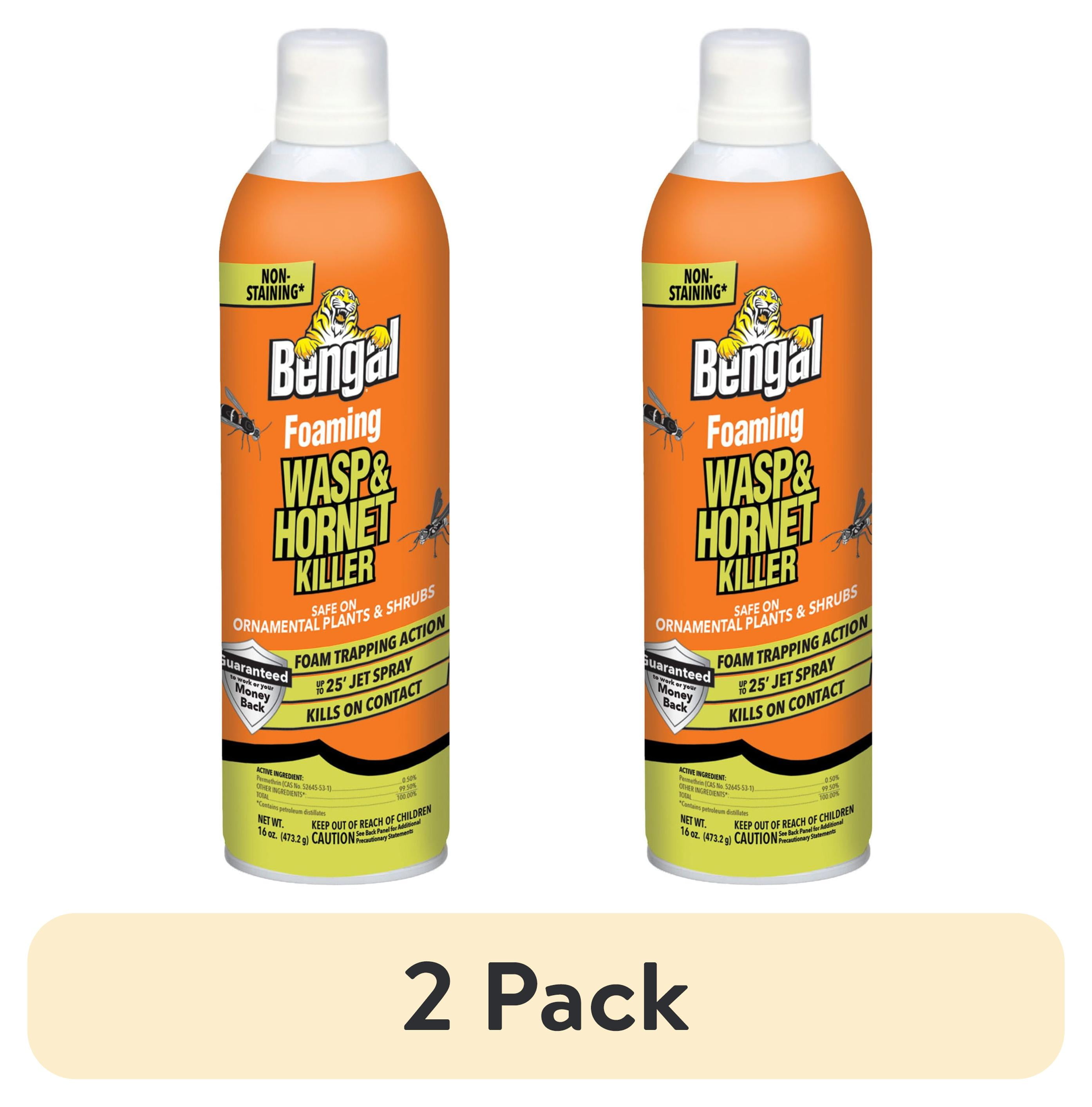 Bengal Foaming Wasp & Hornet Killer, 16 oz Aerosol Can for Outdoor