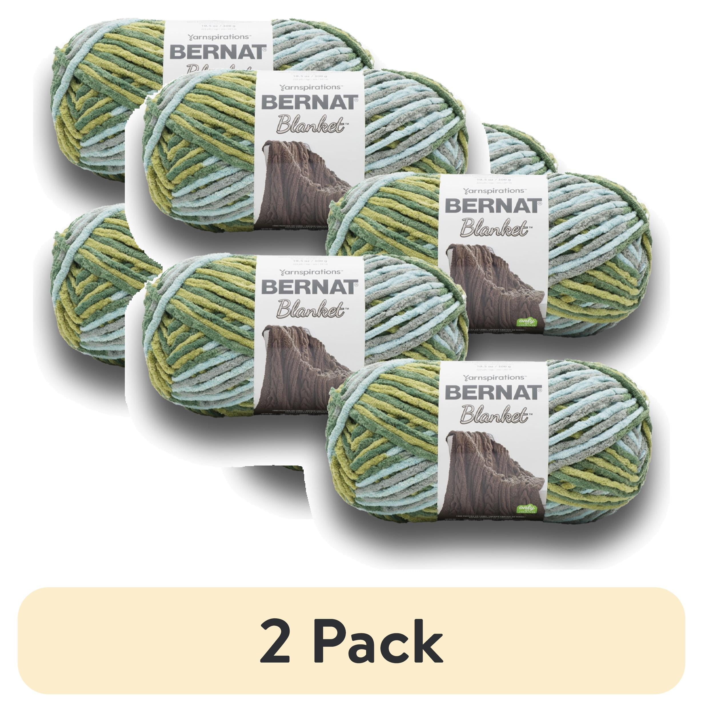 (2 pack) Bernat® Blanket™ #6 Super Bulky Polyester Yarn, Forest Sage 10.5oz/300g, 220 Yards (4 Pack)