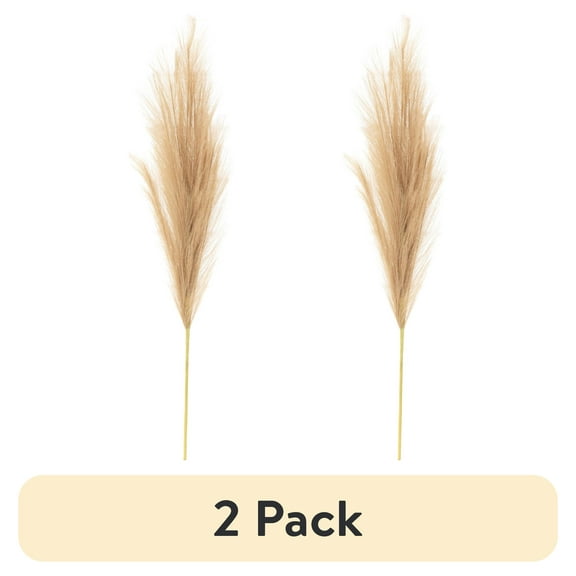 (2 pack) Better Homes & Gardens 34"H Artificial Indoor Pampas Feathered Stem