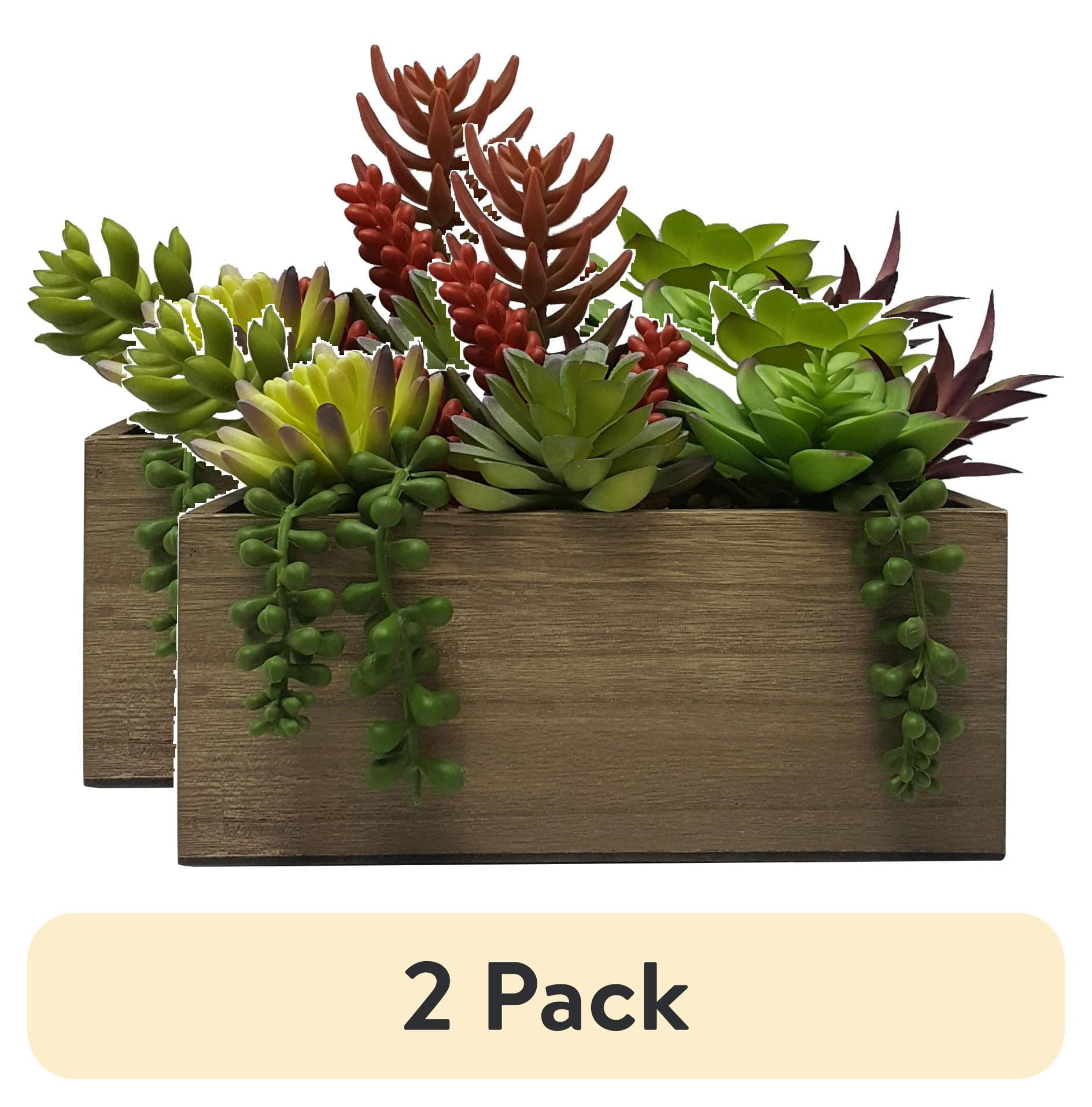 (2 pack) Better Homes & Gardens 7.5" Artificial Mixed Succulent Plants in Brown Wood Box