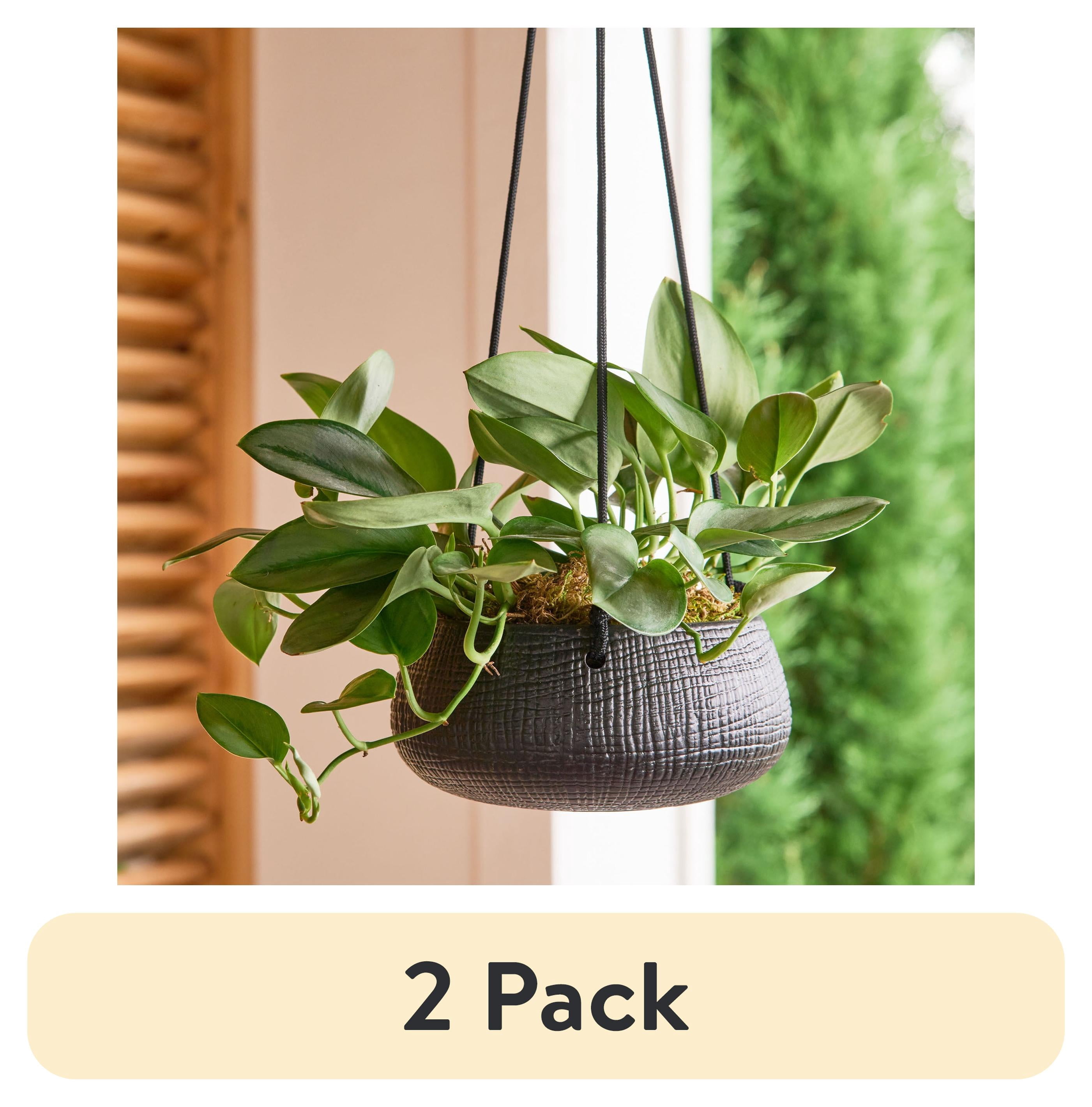 2-pack-Better-Homes-Gardens-