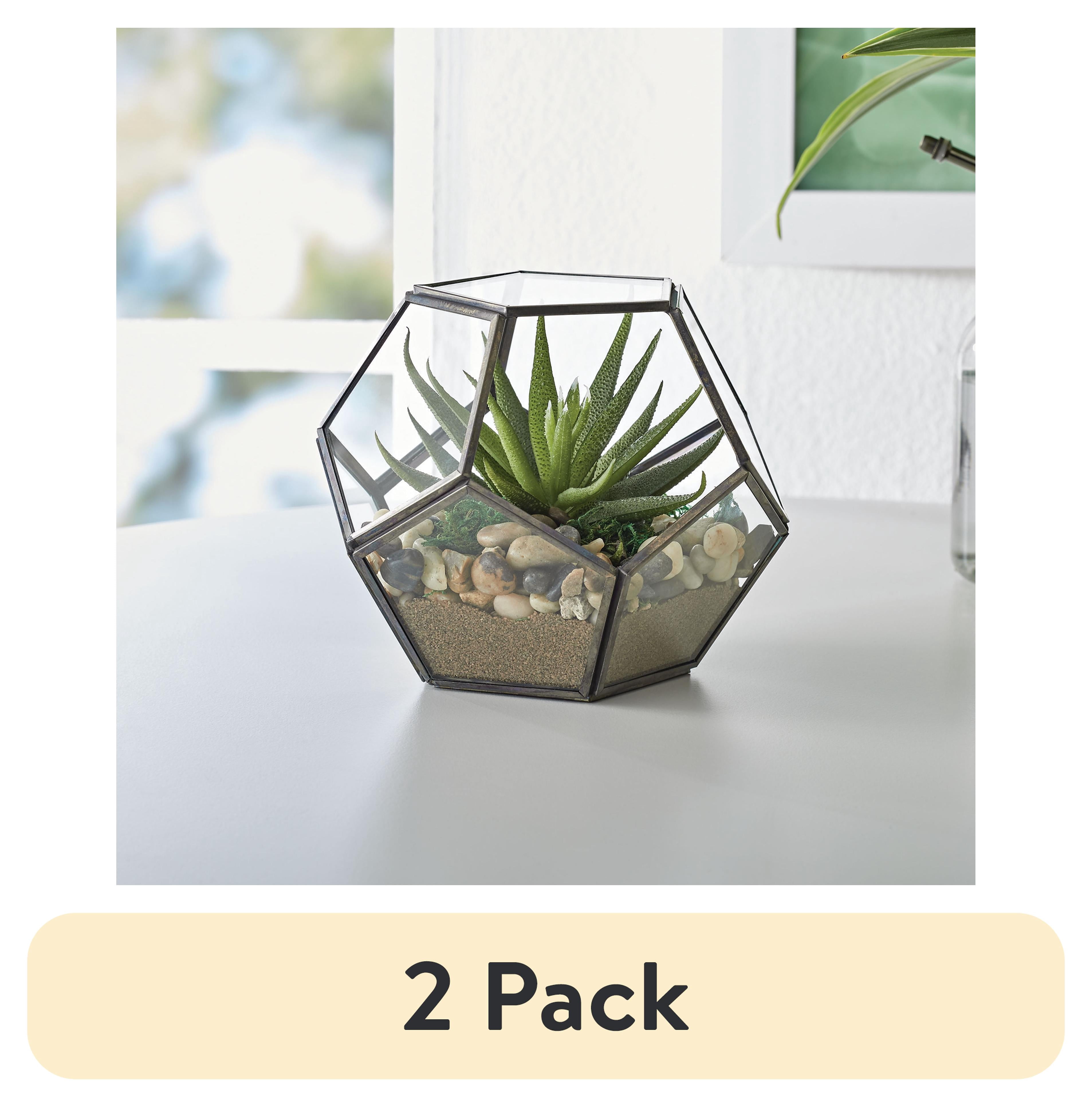 (2 pack) Better Homes & Gardens Geo Metal and Glass Terrarium, 6 in L x 6 in W x 5 in H